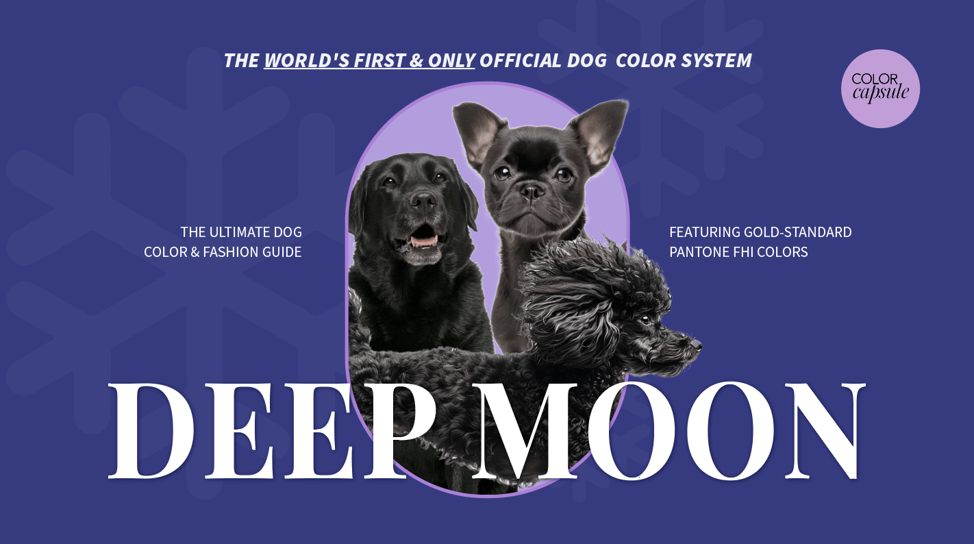 Deep moon black dog best colors to wear